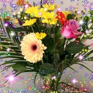 Meet your Posher, Ruth